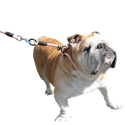 【お取り寄せ】 パークマスター ワークアウト チョークリード L ピンク ( L , ピンク )