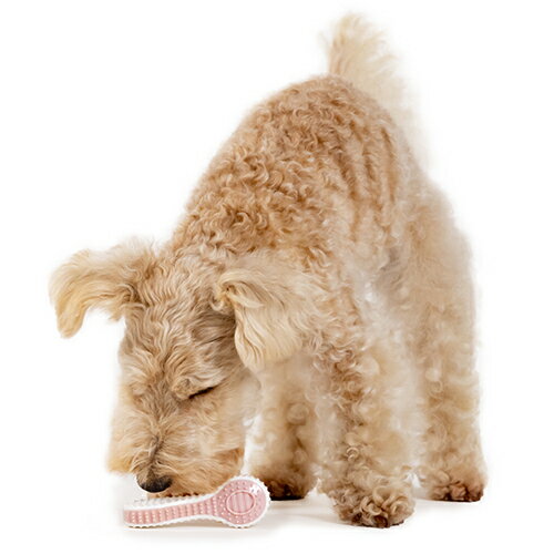 【お取り寄せ】 デンタルトイ ソフト スプーン S ( ソフト S )