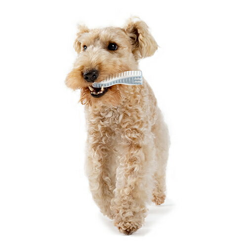 【お取り寄せ】 デンタルトイ ハード フォーク S ( ハード S )