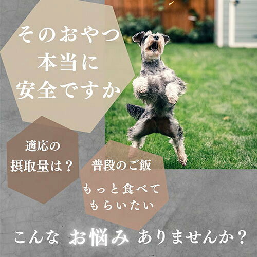【お取り寄せ】 ボンパスト　犬用　サツマイモペースト5g　X　5本　日本