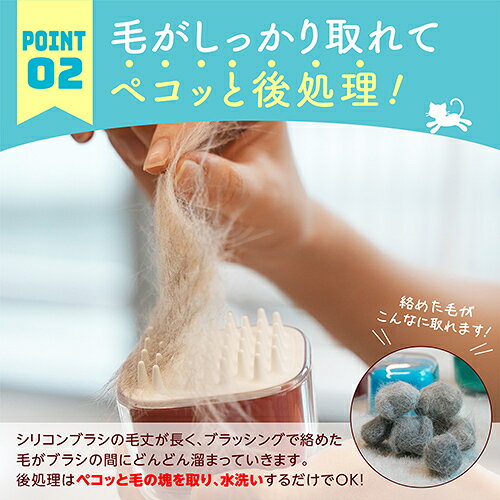 �ڤ����󤻡� �����ǥ� �֥饷 �����ѡ��ץ�