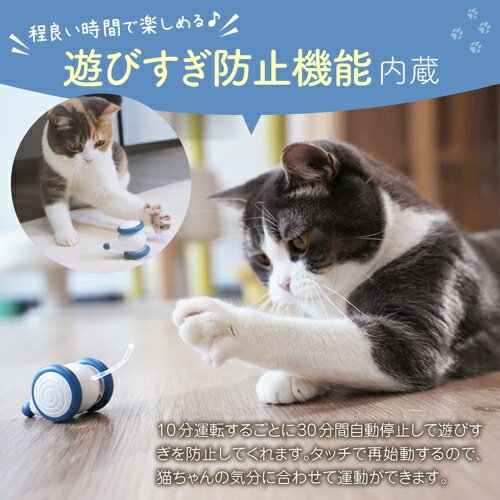【お取り寄せ】 ウィキッド・マウス（Apricot） ( アプリコット ) 2