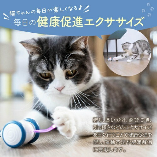 【お取り寄せ】 ウィキッド・マウス（Apricot） ( アプリコット ) 3