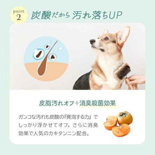 �ڤ����󤻡� ������� �����ܥ��롼�ߥ󥰥��ץ졼 ����