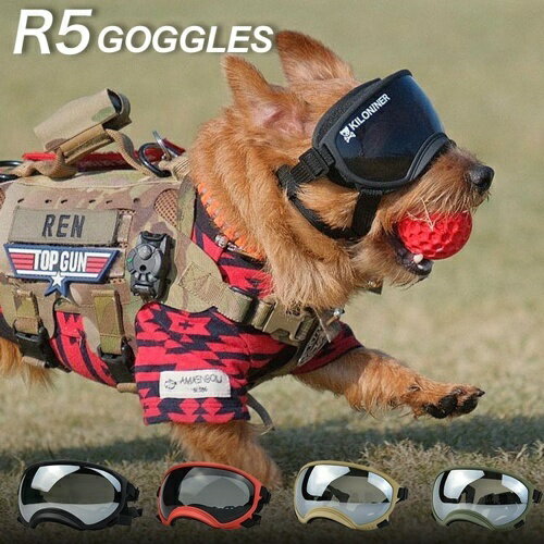 【お取り寄せ】 R5 ゴーグル スカーレット 中国