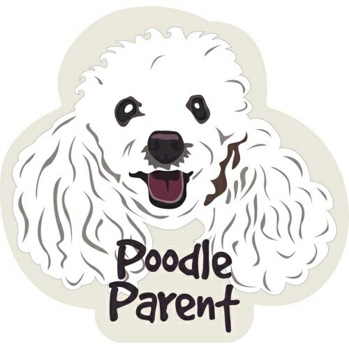 �ڤ����󤻡� ���ƥå����ѥå� S �ס��ɥ�ڥ����� ����ꥫ