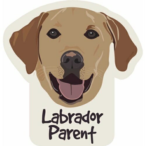 �ڤ����󤻡� ���ƥå����ѥå� S ��֥�ɡ���ڥ����� ����ꥫ