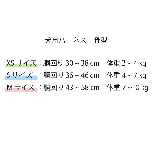 サンプル画像3