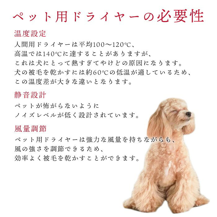 DearKM 楽天市場店の【メーカー保証正規品】 復元ドライヤーPET 日本製 ハンズフリー ドライヤー 犬 ペット プロ仕様 LOUVREDO ルーヴルドー 置き型 1台4役 風力調整可能 低温 速乾 整う 潤う 温風 60℃ 通常風 40℃ 全身・皮膚・毛の健康に ペットドライヤー 684051-01｜アングル3