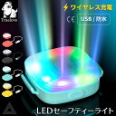 【無料簡易ラッピング対象】犬用 LED ライト 光 レインボーカラー 7色発光 IP65 ワイヤレス充電 USB 防水 超明るい 夜間散歩 首輪取り付け可能 安全基準クリア 中型犬 大型犬 リード 点灯 点滅ペット用 ドッグラン 夜 安全 事故防止 【Truelove正規品】 TLD19102