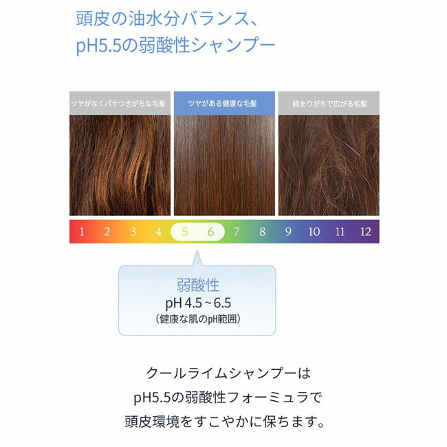 ODID COOL LIME SHAMPOO GREEN TEA MINT ������饤�ॷ���ס� #���꡼��ƥ����ߥ�� �ڹ� ������