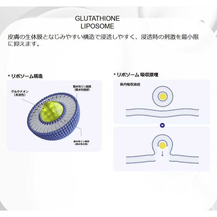 MAKEHEAL BIO LAB GLUTAMIDE COLLAGEN MASK �Х�����åץ��륿�ޥ��ɥ��顼����ޥ��� ��1��� �ڹ� ������ �����ȥޥ��� ����ޥ���