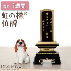 https://thumbnail.image.rakuten.co.jp/@0_mall/dearpet/cabinet/ihaicam/f00689-1.jpg