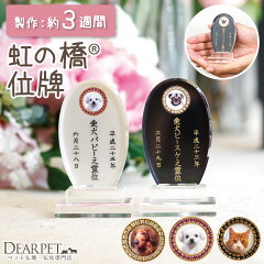 https://thumbnail.image.rakuten.co.jp/@0_mall/dearpet/cabinet/ihaicam/f00741-1.jpg