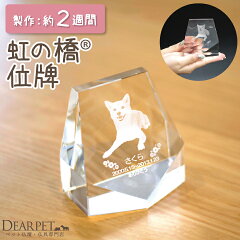 https://thumbnail.image.rakuten.co.jp/@0_mall/dearpet/cabinet/ihaicam/f00kp8-1.jpg