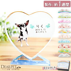 https://thumbnail.image.rakuten.co.jp/@0_mall/dearpet/cabinet/ihaicam/f00sf01dp-1.jpg