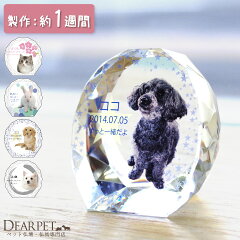 https://thumbnail.image.rakuten.co.jp/@0_mall/dearpet/cabinet/ihaicam/f00sf13.jpg