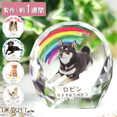 https://thumbnail.image.rakuten.co.jp/@0_mall/dearpet/cabinet/ihaicam/f00sf40.jpg