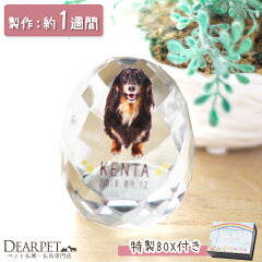 https://thumbnail.image.rakuten.co.jp/@0_mall/dearpet/cabinet/ihaicam/lu0003dp-1.jpg