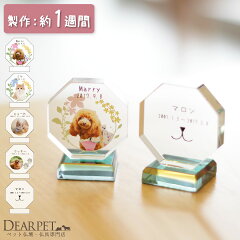 https://thumbnail.image.rakuten.co.jp/@0_mall/dearpet/cabinet/ihaicam/lu0004-1.jpg