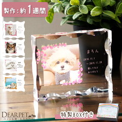 https://thumbnail.image.rakuten.co.jp/@0_mall/dearpet/cabinet/ihaicam/lu0011-1-1.jpg