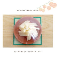 ペット供養お盆迎え火・送り火ローソクペット仏具キャンドルロウソク蝋燭ペットロス新盆盆供養お迎えちょうちん