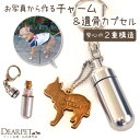 【クーポン有】ペット 遺骨カプセル & 写真で作る 木製チャーム ガラス ボトル セット キーホルダー S 【ネコポス発送】ペットロス カプセル ペット供養 ペット仏具 遺骨 遺灰 犬 猫 毛 歯 骨 写真 シルエット メモリアルグッズ ペットロス ペット骨袋にも