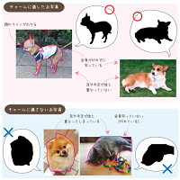 ペット遺骨カプセルSサイズ&ペットちゃんの写真から作るシルエット木製チャームペット供養ペット仏具遺骨遺灰犬猫毛歯骨手元供養写真