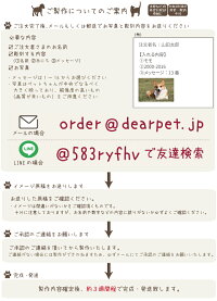 【ペット墓】【ペット墓石】写真が入るPetcotiLサイズペットコティ【ペット墓】【犬】【猫】【手元供養】【墓石】【ペット供養】【骨壷】【室内】【御影石】【ペット墓石】【ペットのおはか】【お墓】【骨壷入れ】