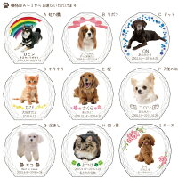 【ペット仏具】【ペット位牌】セレクトクリスタルラージペットメモリアルペット供養犬猫ガラスかわいいきれいミニ犬の位牌猫の位牌お供え丸ラウンドガラス