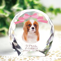 【ペット仏具】【ペット位牌】セレクトクリスタルラージペットメモリアルペット供養犬猫ガラスかわいいきれいミニ犬の位牌猫の位牌お供え丸ラウンドガラス