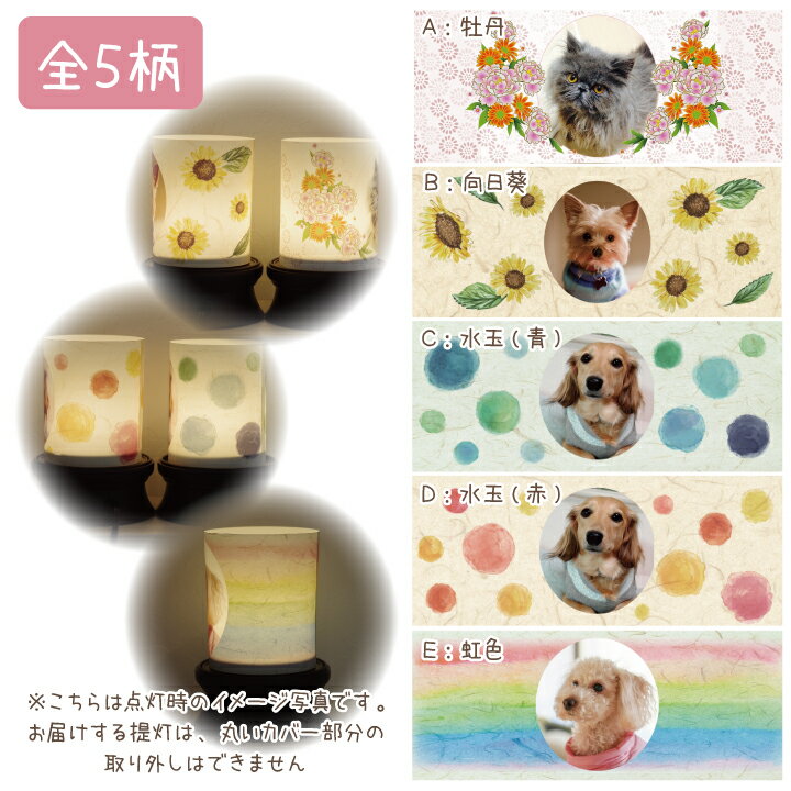 即日出荷 クーポン対象 ペット盆提灯 写真入り 提灯 花まゆペット お盆 盆提灯 ちょうちん 供養 ランタン オーダー 遺影 位牌 ぼんぼり うちの子 オリジナル かわいい お盆 盆提灯 提灯 ペット提灯 ペ Outposttrade Com