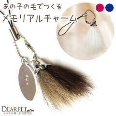 https://thumbnail.image.rakuten.co.jp/@0_mall/dearpet/cabinet/item11/f00685-1_1.jpg