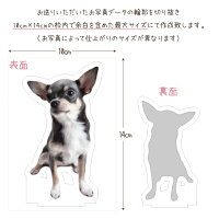 ペット供養メモリアル写真から作るメモリアル2Dフィギュア【ネコポス対応】ペット仏具遺影写真加工ペットメモリアルお供え49日位牌墓急ぎアクリル