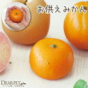 ペット仏具 お供え みかん 1個 本物そっくり 食べられませんペット供養 仏具 ミニ仏具 置物 フェイク 果物 お供え物 供物 柑橘 かわいい お悔やみ フルーツ