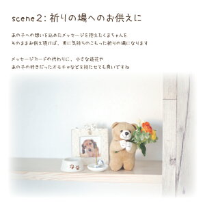 ペット仏具お悔みメッセージベアーメッセージカード付お供えぬいぐるみくまカード贈り物49日かわいいおしゃれギフトお悔やみ祈りの場祭壇ペット仏壇に犬猫ペット供養ペットロスメモリアルペット