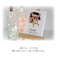 【ペットお悔やみ】【ペット供養】フラワーボトルライト仏花フラワーお供えプリザブリザードフラワー49日かわいいおしゃれ大人犬猫ペット仏具ボトルライトプリザーブドフラワー