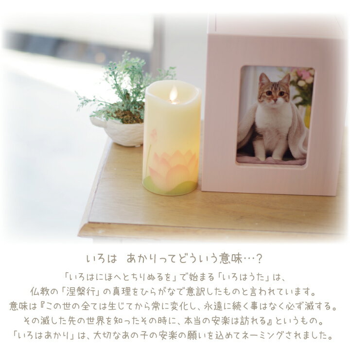 �ڥå�ʩ�� �����Ϥ����� ϡ LED �ŻҤ������������� ʩ�� Ϲ�� �������� �������� �����ɥ� �����ɥ륹����� ϡ �饤�� �� ǭ �ڥåȥ��� £��ʪ ������ �ڥåȶ��� ���� Ǽ��Ʋ �ڥå�ʩ�� ������