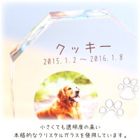 ペット位牌ティニークリスタルペットメモリアルペット供養犬猫うさぎ小動物ガラスかわいいきれいおしゃれ犬の位牌猫の位牌お供え四角透明カラー写真入りいはいいひ49日四十九日モニュメント墓小さい手のひらミニ