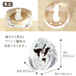 【ペット位牌】ラウンド型の小ぶりな位牌DP-3ペットメモリアルペット供養犬猫うさぎ小動物ガラスかわいいきれいおしゃれ犬の位牌猫の位牌お供え四角透明カラーいはいいひ49日四十九日モニュメント墓安い写真ミニかわいい