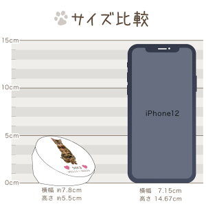 【ペット位牌】ラウンド型の小ぶりな位牌DP-3ペットメモリアルペット供養犬猫うさぎ小動物ガラスかわいいきれいおしゃれ犬の位牌猫の位牌お供え四角透明カラーいはいいひ49日四十九日モニュメント墓安い写真ミニかわいい
