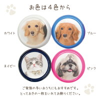骨袋用バッジネコポス対応お名前プレートタグピンオリジナル犬猫小動物小鳥