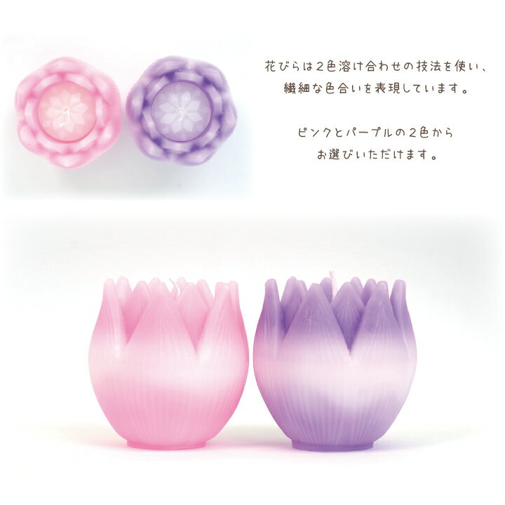 �����ɥ� ��ꥣ Lily ��ϡ ñ�� �ڴ����°���ޤ���ۥԥ� �ѡ��ץ� �� ϡ �ϥ� �������� �������� Ϲ�� ������ ���� �� ��� 49�� ������ �İ��� ������ �ߥ� �� �ե� ������� �ڥå�ʩ�� �� ǭ �ڥåȶ���