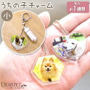 【今だけ特価300円OFF】ペット 写真入り アクリルチャーム小 【ネコポス送料無料】写真 オリジナル ペット供養 ペット仏具 手元供養 プリント オーダーメイ...