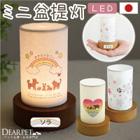 ペット 盆提灯 お盆 ペット提灯 おかえり盆提灯 虹の橋 ペット供養 LED ネームプレ...