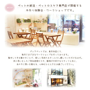 ディアペット東京本店開催みんなでお空の子の仏具を作ろう体験会お供え丸皿プレートペット仏具ペット供養手元供養手作り供養東京ワークショップ猫犬動物イベントハンドメイドごはん供物皿メモリアルグッズ虹の橋納骨堂