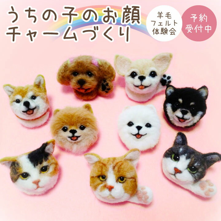 ディアペット 東京本店開催 羊毛フェルト ワークショップ 写真から作る お顔のフェルト チャーム 体験会手作り 供養 東京 ワークショップ 猫 犬 動物 ペット イベント ハンドメイド フェルト