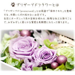 ペットお悔やみプリザーブドフラワー写真立て仏花お供えギフト供花プリザブリザードフラワー四十九日かわいいおしゃれ犬猫ペットロス虹の橋フォトフレーム紫バラ薔薇お花写真贈り物自宅用