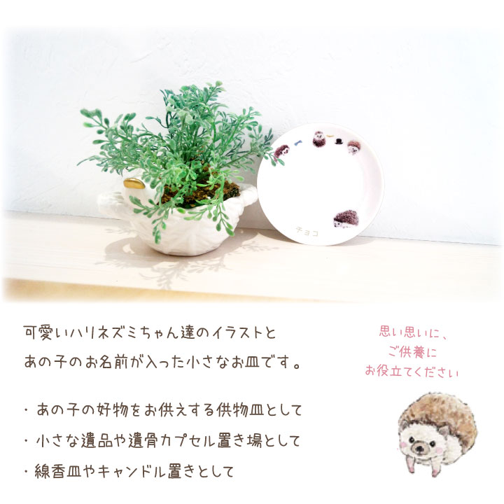 �ڥå�ʩ�� ̾������ �ϥ�ͥ��� �ץ졼�� ���� �ڥåȶ��� �Ϥ�ͤ��� �ˤͤ��� �ͥ��� ���Ϥ� ��ʪ ������ �����ɥ뻮 �Ữ ������ ���ꥢ�륰�å� ���ե� ̾����̵�� ���饹�� ���襤��