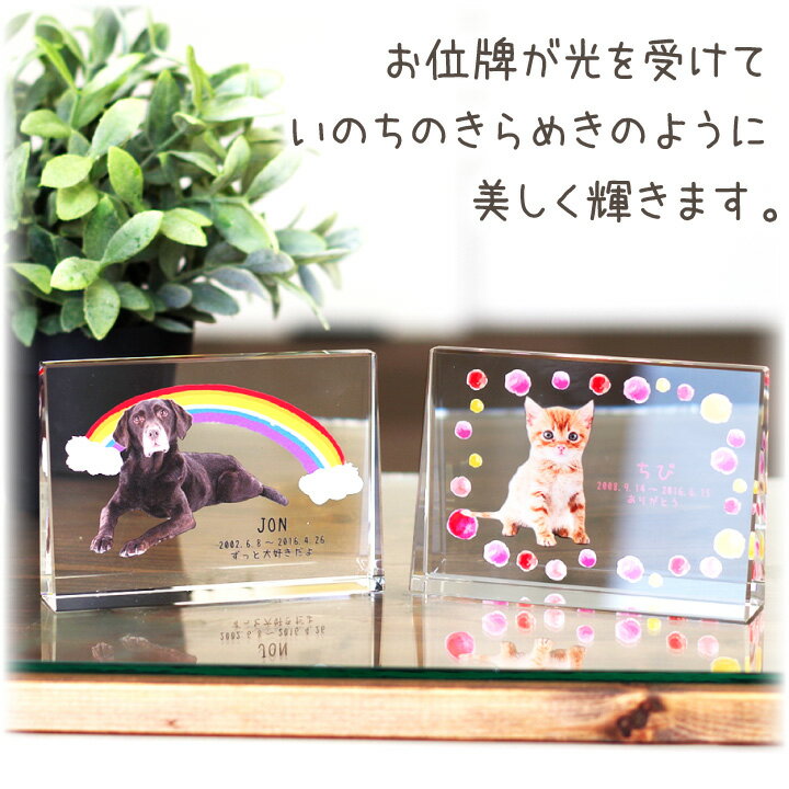 在庫有 クーポン対象 ペット位牌 キャトル クリスタル イラストtypeペットメモリアル ペット供養 犬 猫 うさぎ 小動物 ガラス かわいい きれい おしゃれ 犬の位牌 猫の位牌 お供え 四角 透明 カラー Eoloii Up Ayto Caceres Es